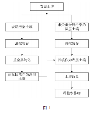 用于修復農(nóng)田重金屬污染土壤的復合方法的工藝流程圖